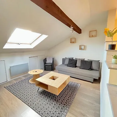 Pin'S - Magnifique Appartement Sarrebourg Exterior photo