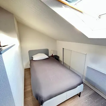 Pin'S - Magnifique Appartement Sarrebourg Exterior photo