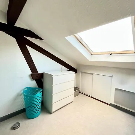 Pin'S - Magnifique Appartement Sarrebourg Exterior photo